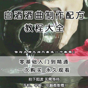 白酒酒曲制作配方教程酿酒技术秘方勾兑视频教学课程零基础学习-淘宝虚拟宝库