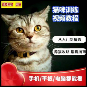 猫咪训练+养猫攻略大全技巧秘诀自学教程课程视频-淘宝虚拟宝库