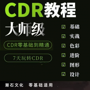 cdr教程视频Coreldraw自学平面设计广告排版零基础入门学习课程-淘宝虚拟宝库
