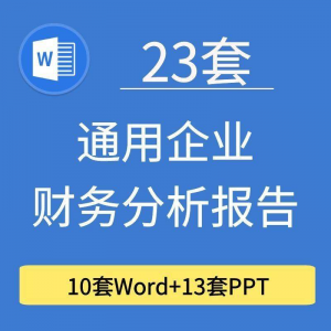 23套通用企业公司年度财务分析报告word电子文档模板PPT演示-淘宝虚拟宝库