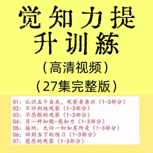 觉知力训练感知力国学智慧2025年心理学自我意识内心疗愈视频教程-淘宝虚拟宝库