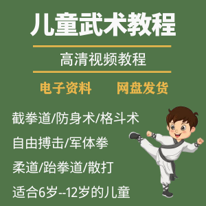 少儿童武术视频教程零基础自学咏春散打擒拿泰拳跆拳道防身术课程-淘宝虚拟宝库