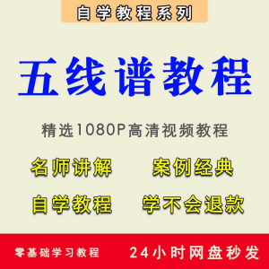 五线谱视频教程教学培训课程在线自学儿童零基础从入门到精通教程-淘宝虚拟宝库