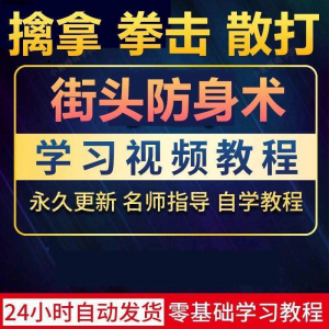 街头防身术擒拿拳击散打视频教程全套入门自学零基础学习教程视频-淘宝虚拟宝库