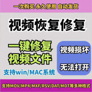 损坏MP4视频修复软件断电恢复工具短片导出摄像机视频文件修复-淘宝虚拟宝库