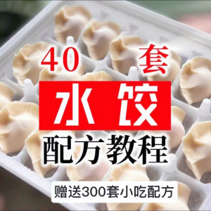 【0.01秒发】40套水饺技术配方 特制技术视频教程-淘宝虚拟宝库