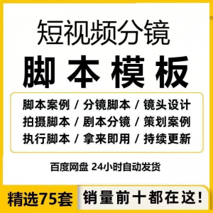 短视频拍摄脚本分镜头表模板抖音计划表剧本拉片宣传片策划表格-淘宝虚拟宝库