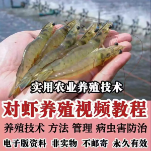 对虾养殖技术视频教学教程水质管理日常养护疾病防治南美白素材-淘宝虚拟宝库