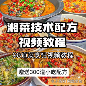 【0.01秒发】98道湘菜技术配方视频教程商用湖南菜炒菜特色小吃-淘宝虚拟宝库