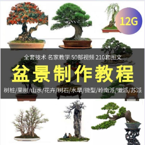 盆景制作技术视频教程工艺教学果树桩山水微型造型全套-淘宝虚拟宝库