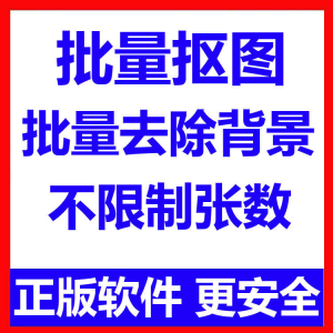 批量抠图工具 全自动去除图片背景软件 本地运行 不限制张数-淘宝虚拟宝库