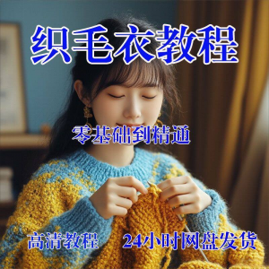 手工织毛衣视频零基础传统棒针钩针毛线编织婴儿童全套-淘宝虚拟宝库