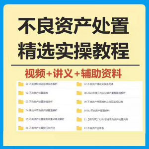 不良资产处置实操教程 不良资产视频 不良资产尽职调查资料-淘宝虚拟宝库