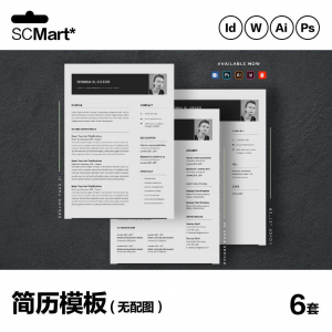 6套高级英文简历Word简历 ai psd设计师简历模板毕业生简历CV29-淘宝虚拟宝库