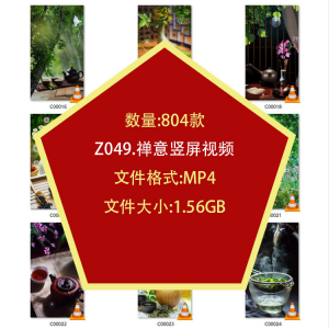 茶艺喝茶品茶竖屏泡茶文化意境禅意自媒体剪辑高清抖音短视频素材-淘宝虚拟宝库