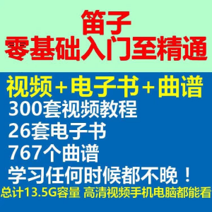 竹笛初学者曲谱入门课程笛零基础视频教学自零基础演奏电子版吹笛-淘宝虚拟宝库