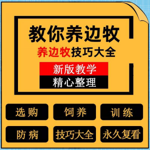 边牧训练方法教程边境牧羊犬驯养技术饲养喂养选购训犬技巧大全套-淘宝虚拟宝库
