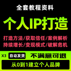 个人IP打造教程如何快速打造个人IP社交品牌定位训练营资料大全新-淘宝虚拟宝库