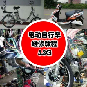 学电动车维修技术电动自行车维修技术电瓶修复技巧视频教程教学-淘宝虚拟宝库