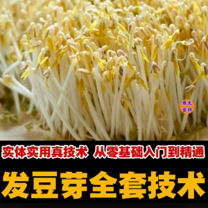 自学发豆芽技术资料豆芽加工制作方法教学 培育豆芽商用视频教程-淘宝虚拟宝库