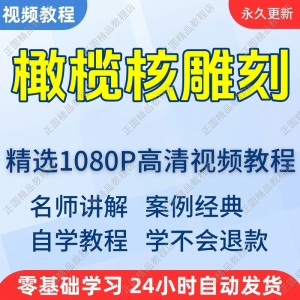 橄榄核雕刻视频学习教程新手自学零基础入门精通教学课程全集-淘宝虚拟宝库