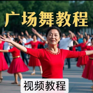 中老年广场舞视频下载高清视频教学打包MP4 MP3背面动作分解教程-淘宝虚拟宝库