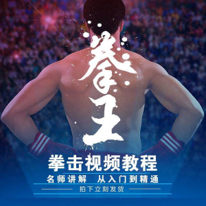 拳击教学视频 自学教程 训练零基础运动入门健身搏击格斗武术课程-淘宝虚拟宝库