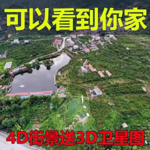 3D高清卫星地图影像2024图源导航定位3d立体地图手机永久免费-淘宝虚拟宝库
