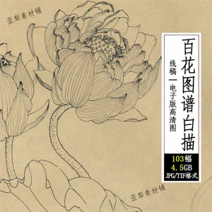 百花图谱白描线稿图集 国画花卉植103幅tif格式3.6G高清图片素材-淘宝虚拟宝库