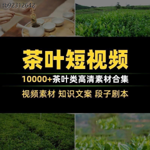 茶叶茶业茶具茶道茶艺茶文化知识文案茶园采茶泡茶高清短视频素材-淘宝虚拟宝库