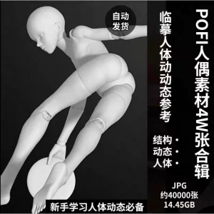 pofi无限人偶4W截图绘画素材pofi无线人偶人体动态学习素材临摹-淘宝虚拟宝库