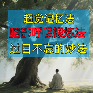 过目不忘修炼记忆力脑部呼吸锻炼法改造大脑健身气功养生训练方法-淘宝虚拟宝库