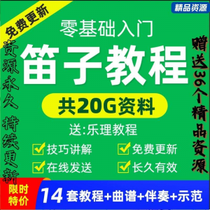 零基础笛子教程自学入门进阶视频初学者教学成人儿童学竹笛教材全-淘宝虚拟宝库