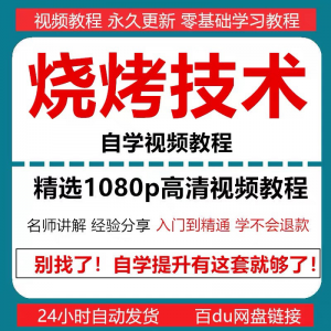 烧烤技术教程视频配方书东北重庆烧烤技术配方教程自学教材零基础-淘宝虚拟宝库